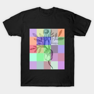 Roses color T-Shirt